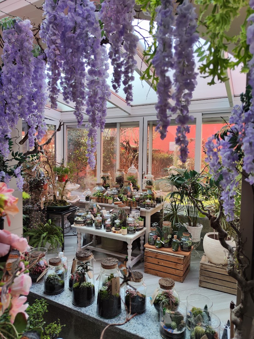 Fiori Bertola