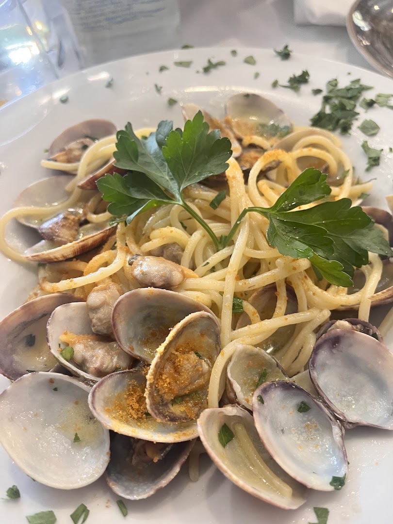 Fiori Di Mare