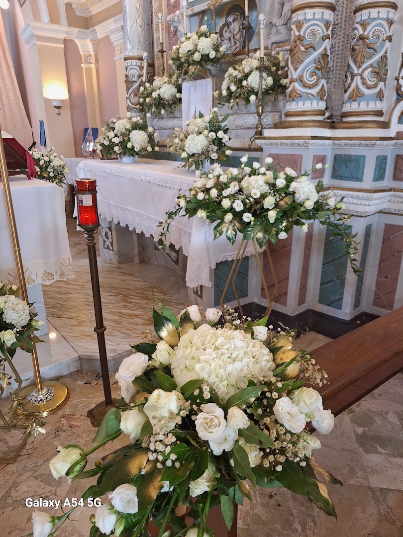 Fiori di Nicoletta, Ascea