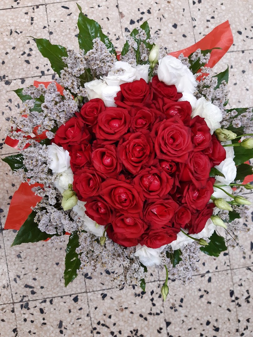 Fiori di Nicoletta