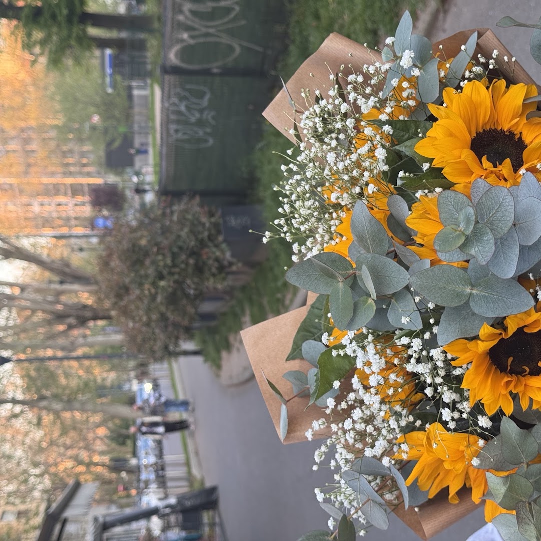 Fiori Di Piazzale Susa