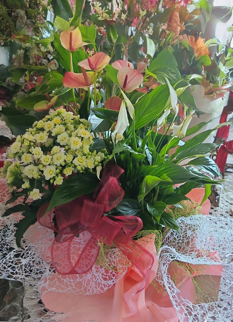 Fiori di Sandra