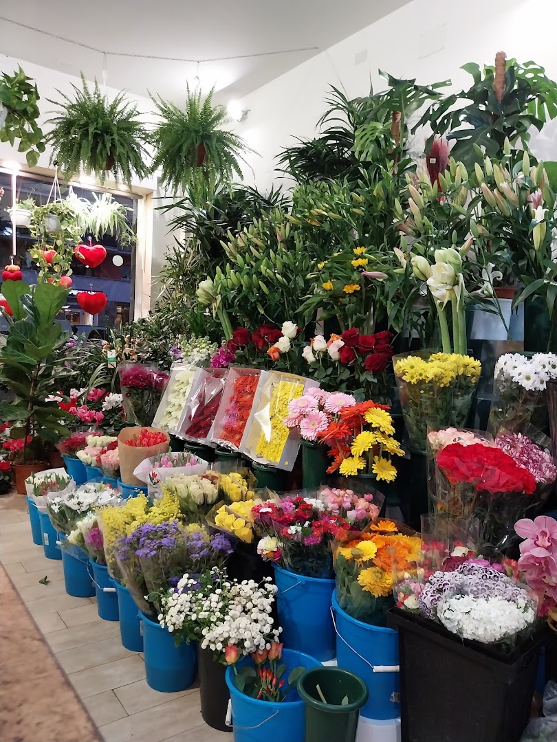 Fiori di Singh Satnam, Roma