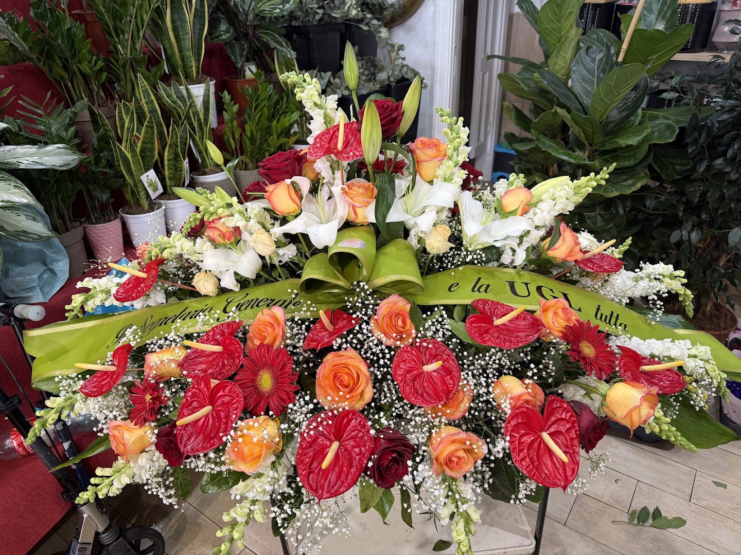 Fiori di Singh Satnam