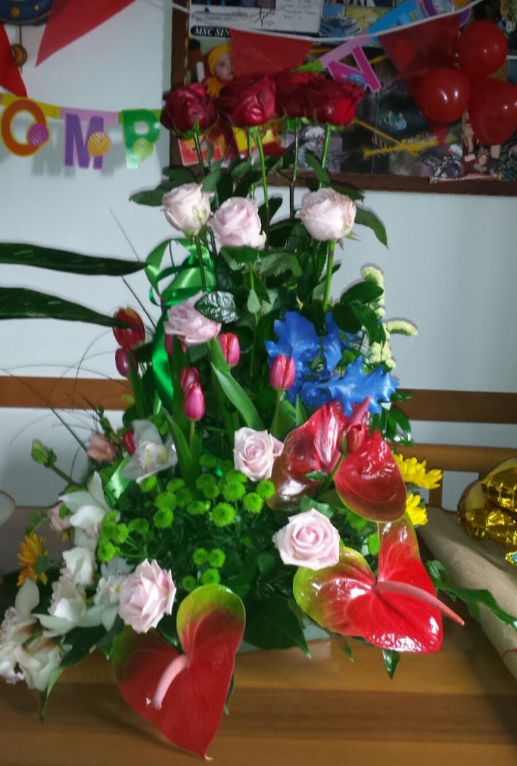 Fiori e Piante da Rosetta, Pagani
