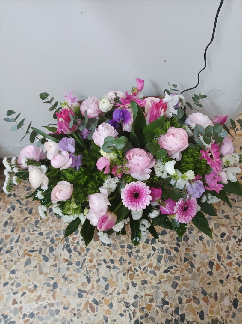 Fiori e Piante da Rosetta