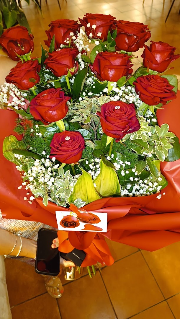 Fiori e Piante da Rosetta