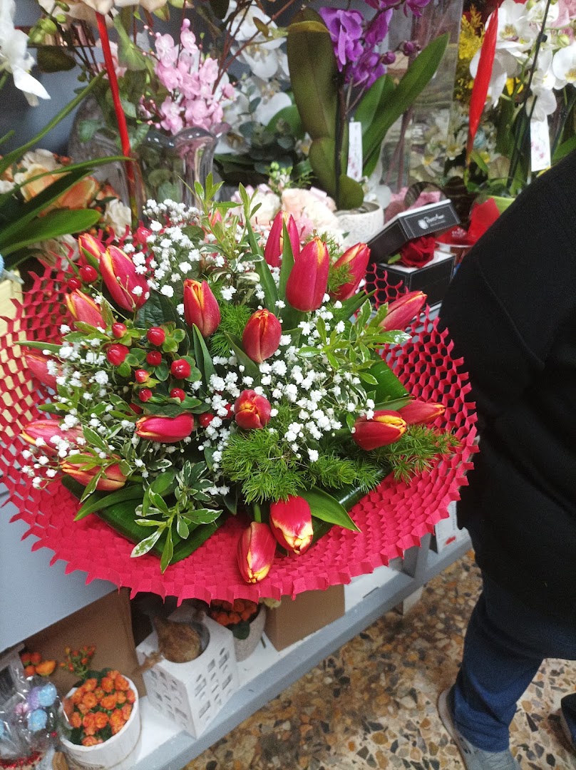 Fiori e Piante da Rosetta