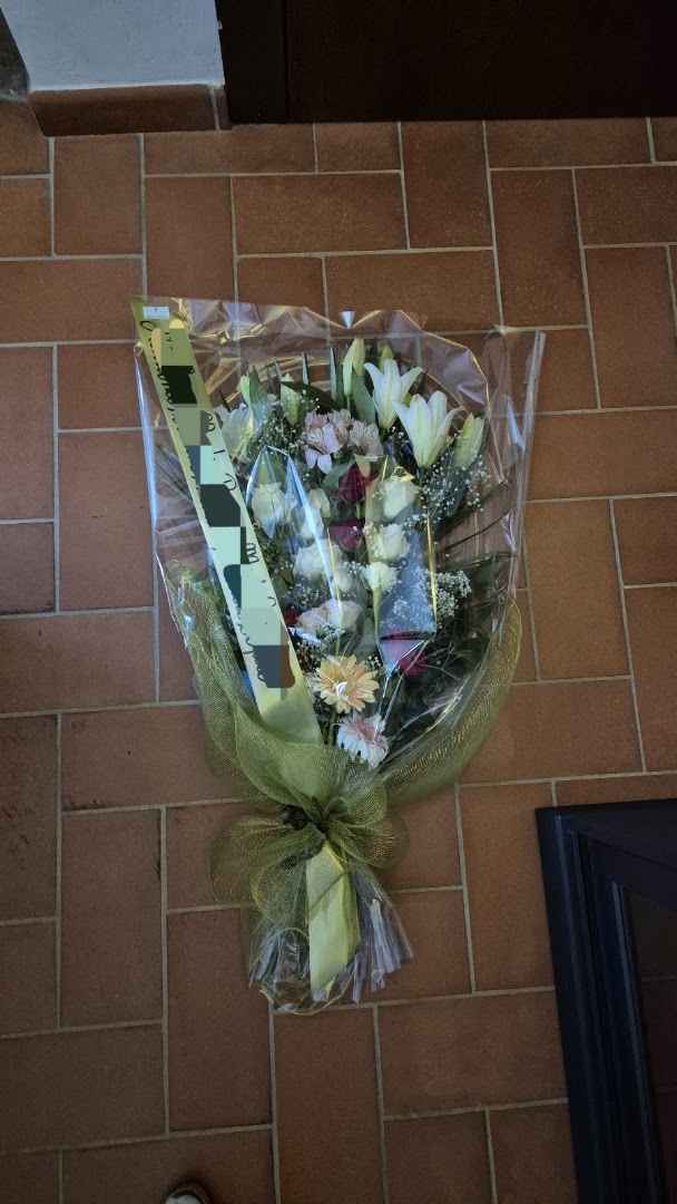 Fiori E Piante Giardino Del Fiore