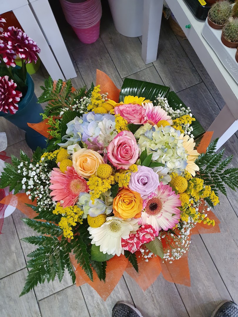 Fiori E Piante Giardino Del Fiore