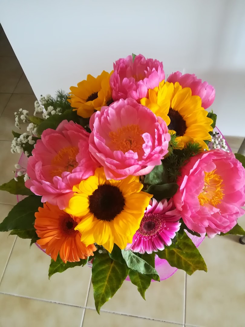 Fiori e Piante Roberto & Nada, Roma