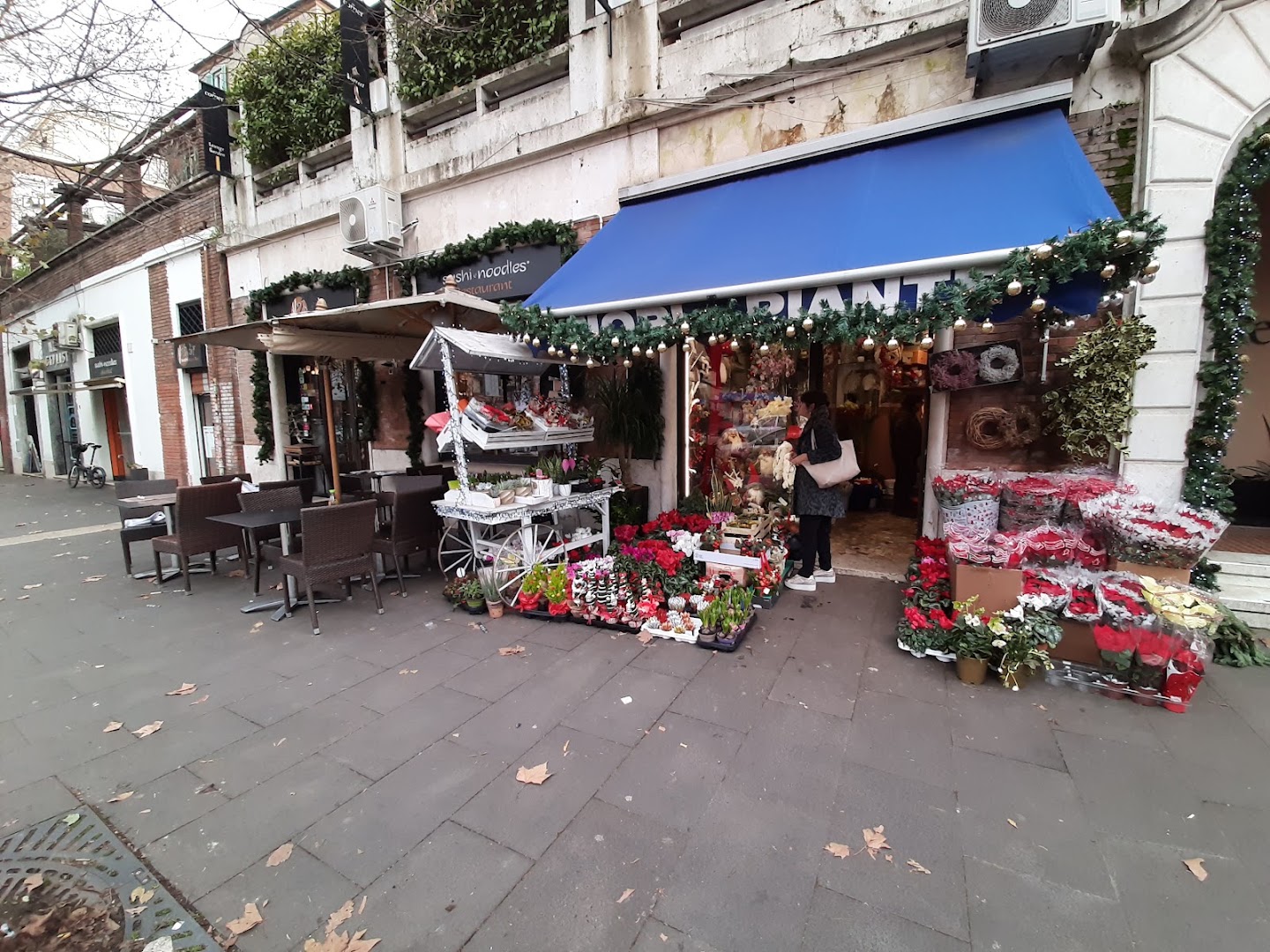 Fiori e Piante Roma