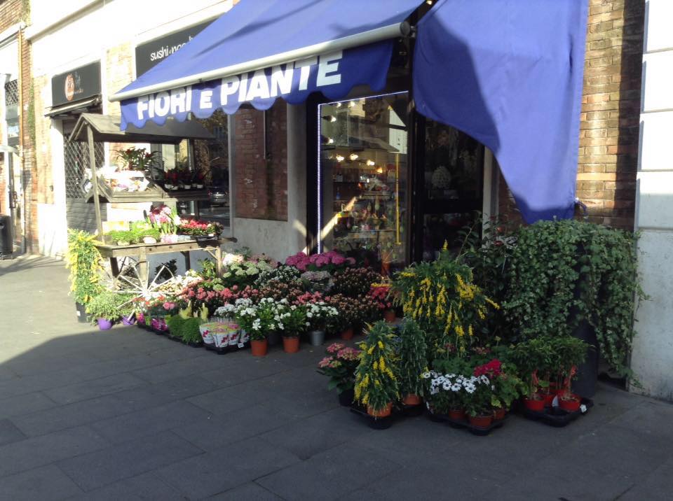 Fiori e Piante Roma