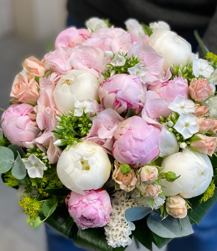 Fiori Flor Up