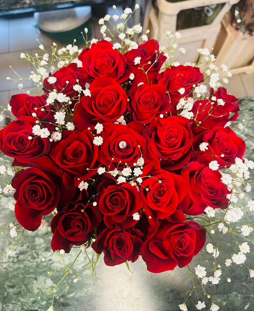 FIORI MARIA VITTORIA
