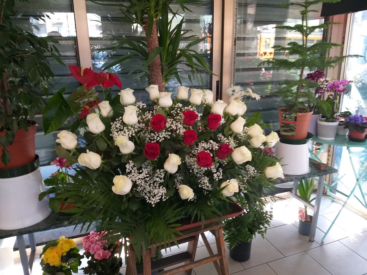 FIORI MARIA VITTORIA