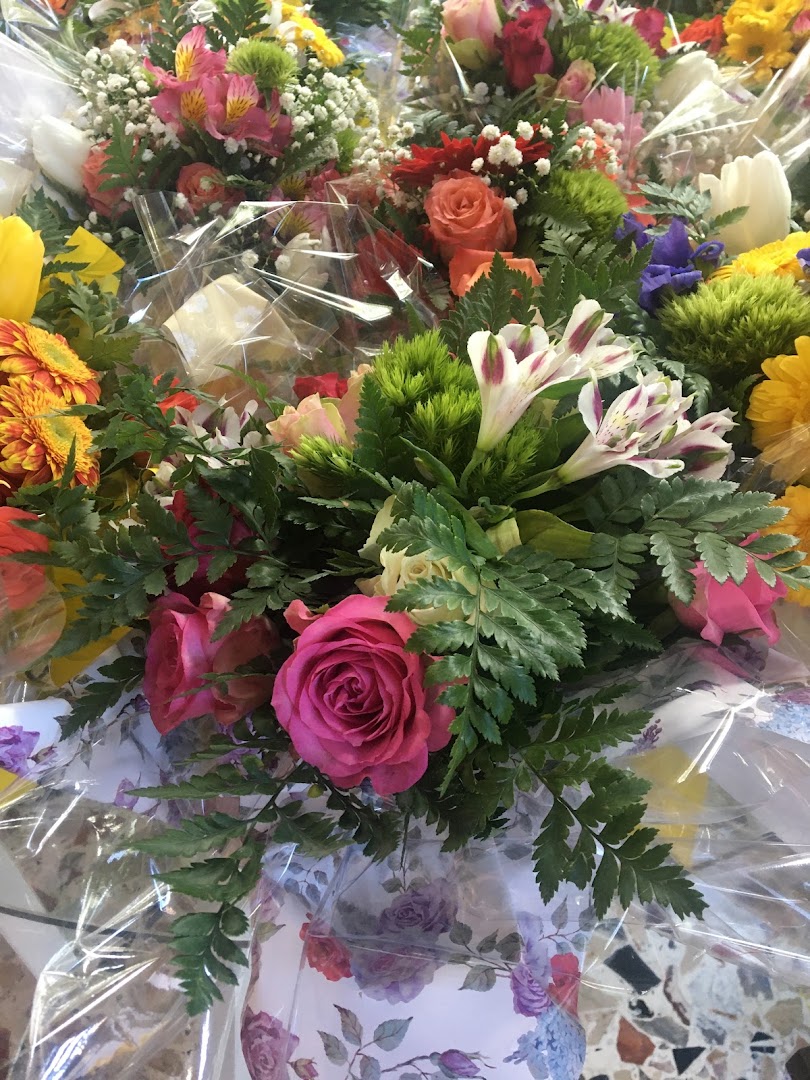 Fiori.Rimini