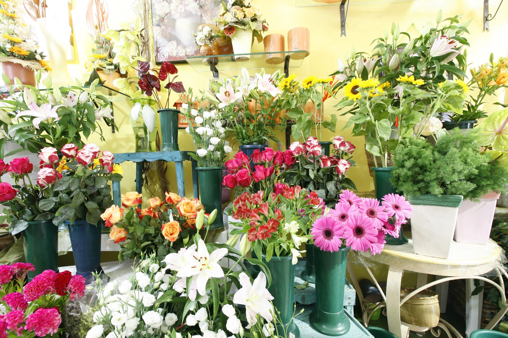 Fiorista Fiore Piu, Senorbì