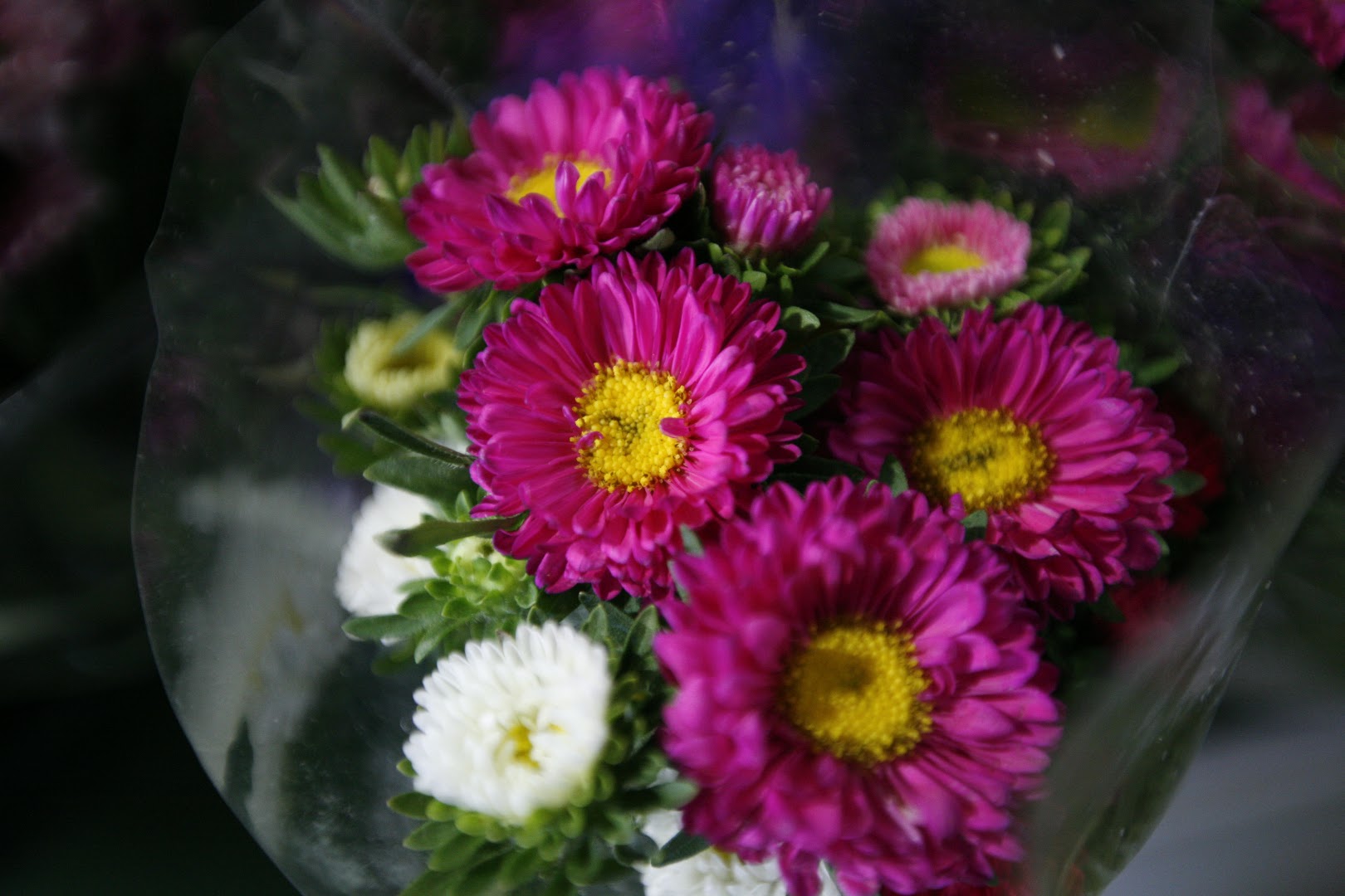 Fiorista Fiore Piu