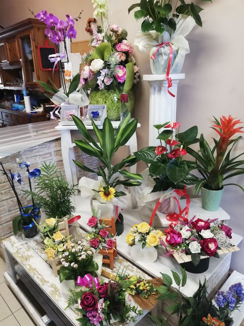 Fiorista Rosy Monza - Fiori e Piante