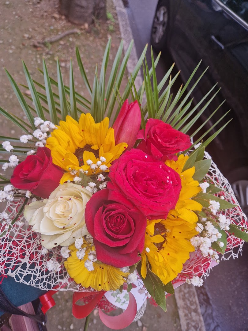 Fiorista Rosy Monza - Fiori e Piante
