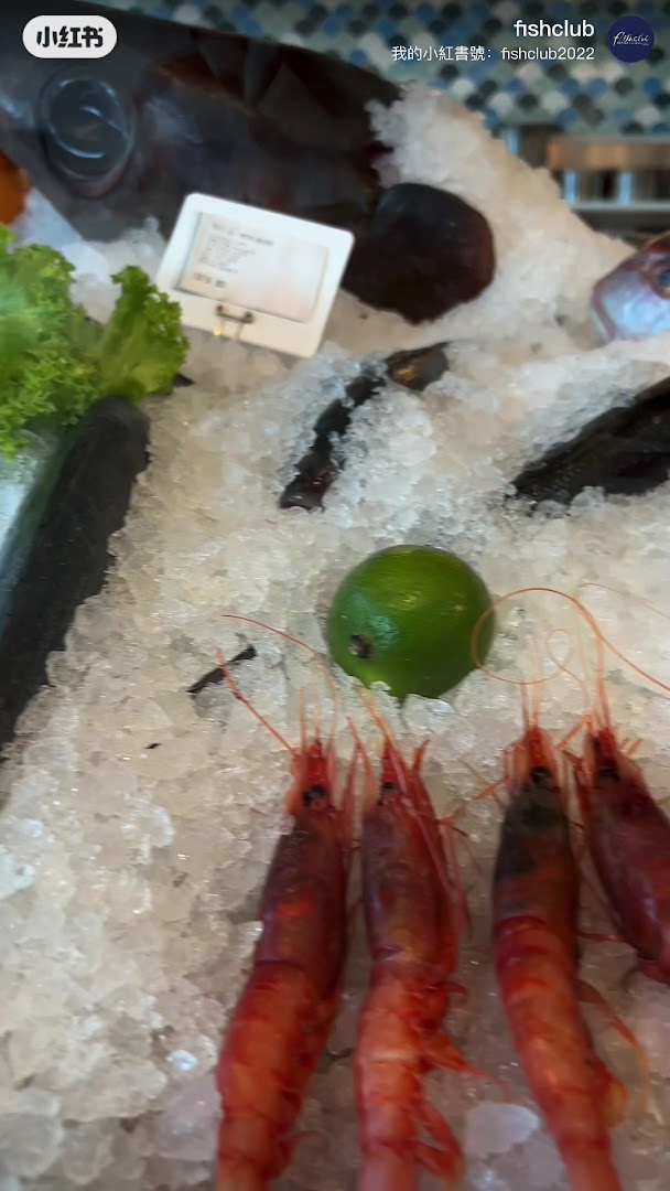Fish Club