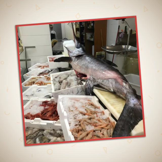 Fish & Wine by Fish in the world