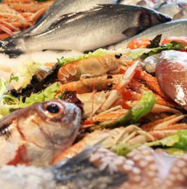 Fish & Wine by Fish in the world