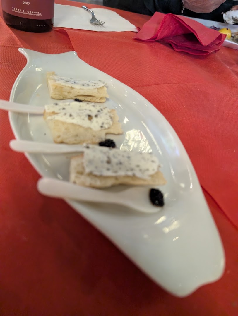 Fish & Wine by Fish in the world