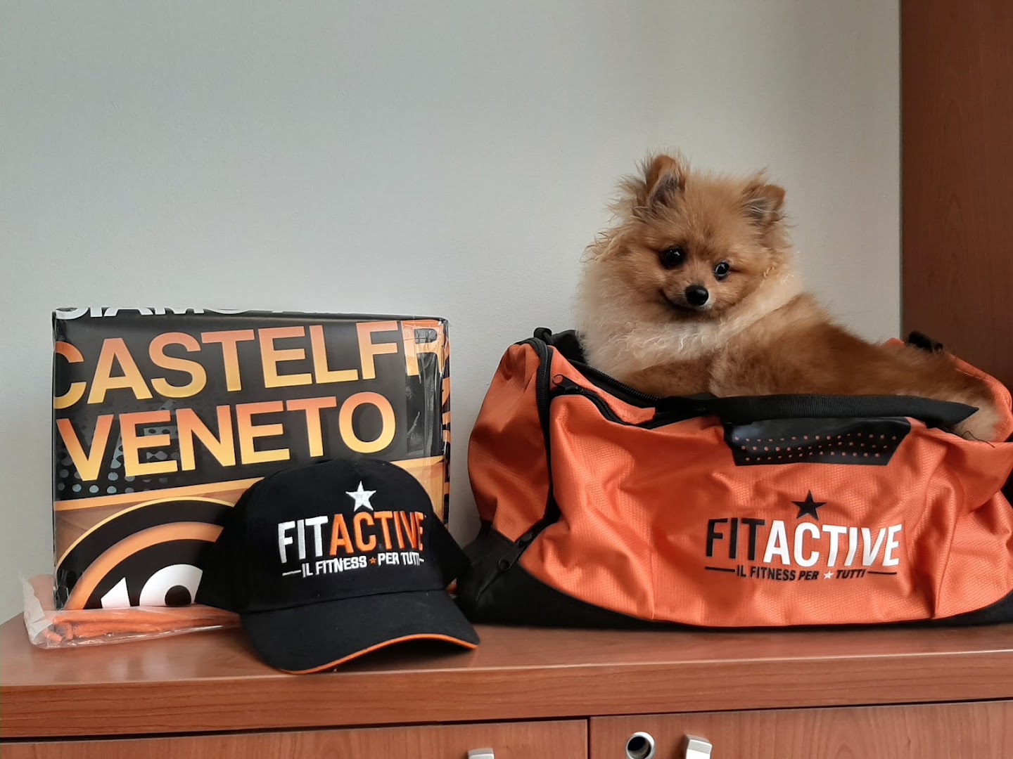 FitActive Castelfranco Veneto
