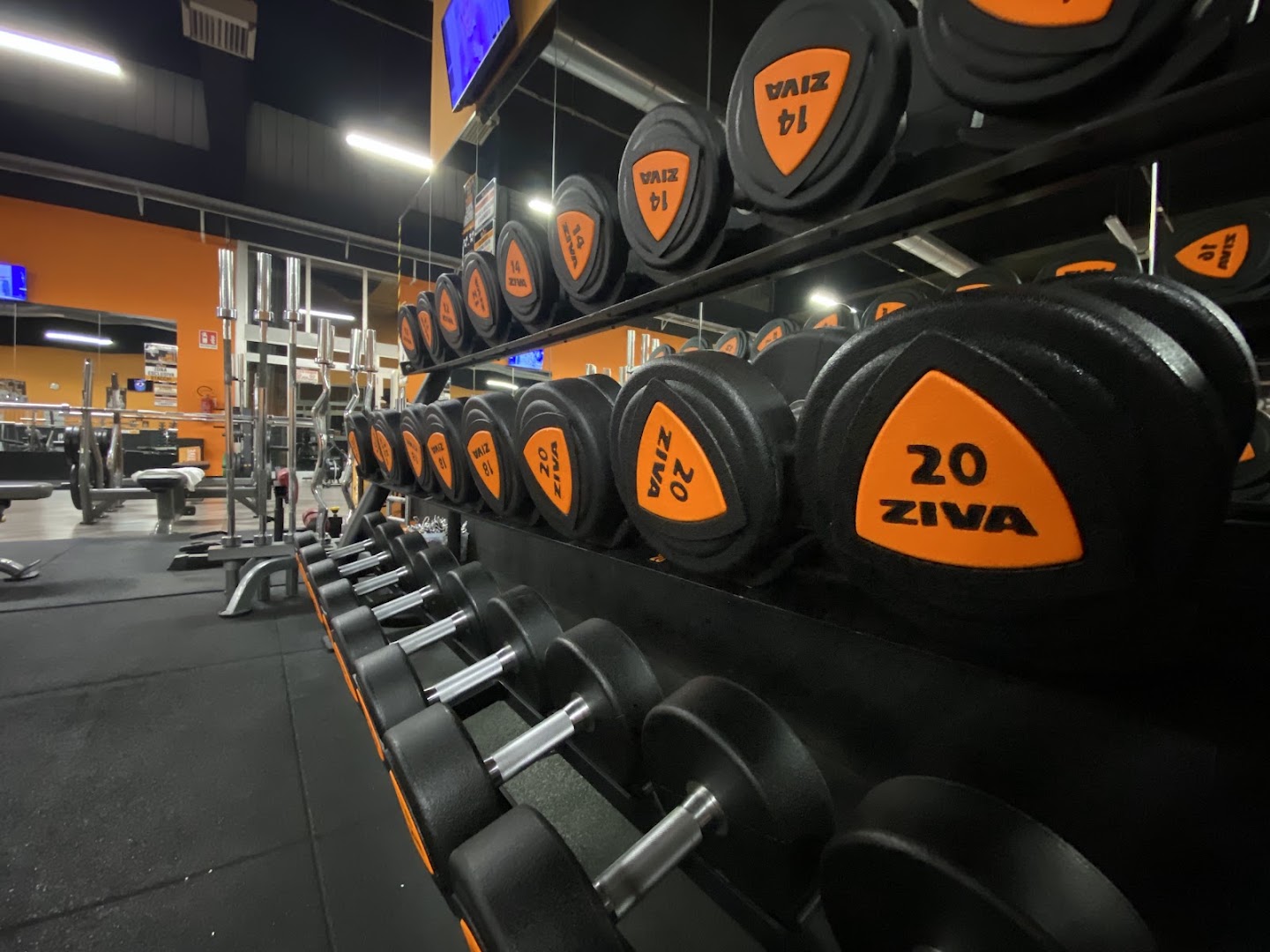 FitActive Lainate
