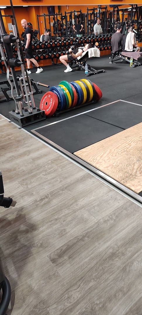 FitActive Novara, Novara