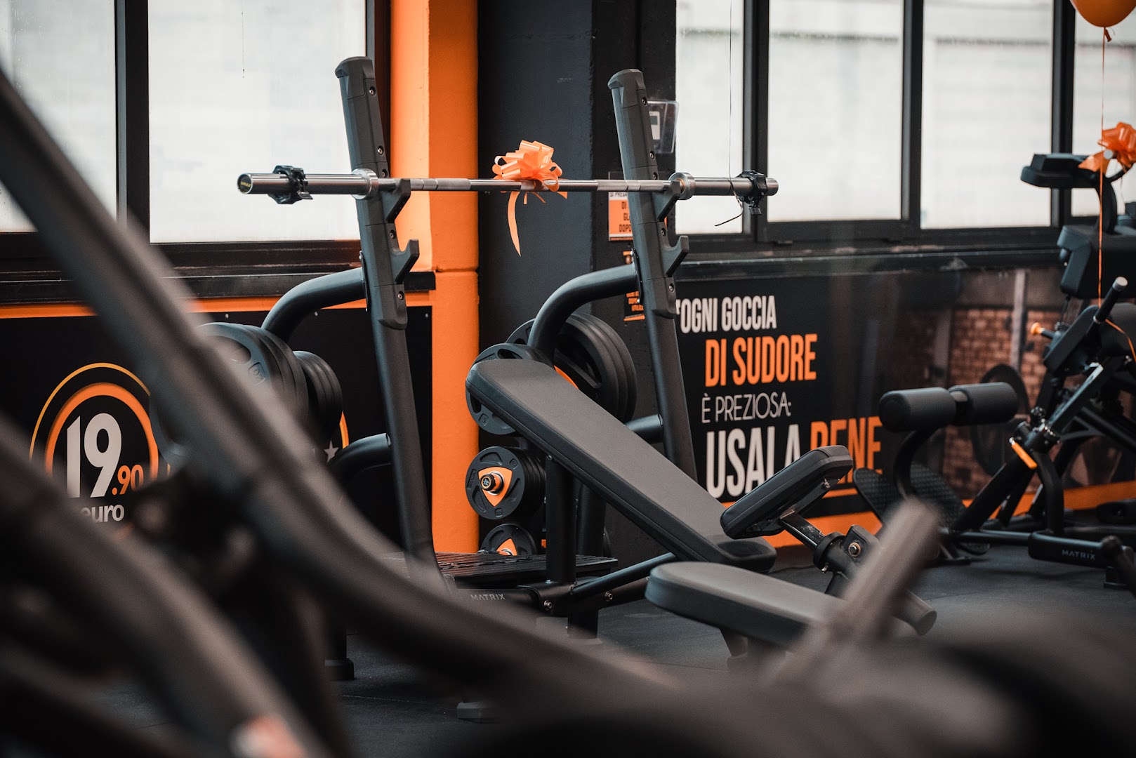 FitActive Parma, Parma