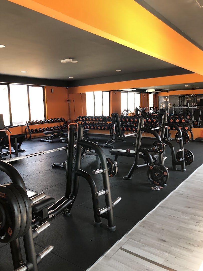 FitActive Vertemate