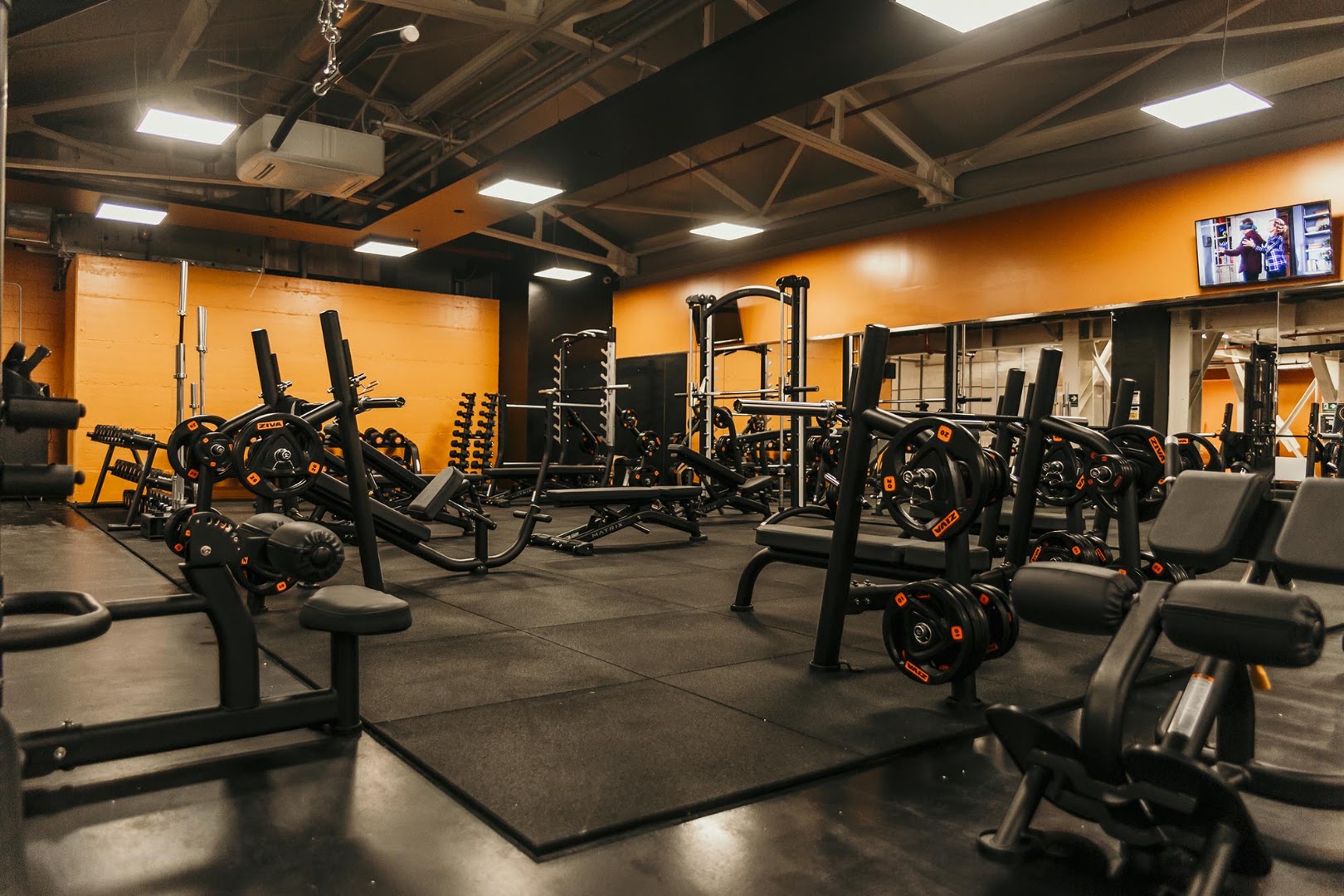 FitActive