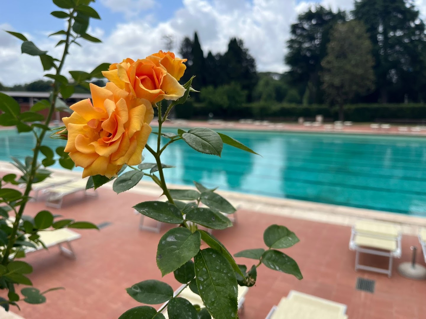 FITNESS CLUB PISCINA DELLE ROSE - ROMA EUR, Roma