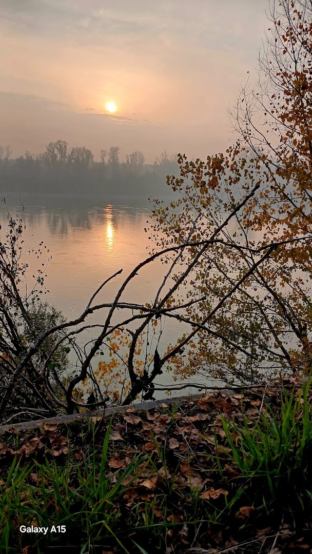 Fiume Po Cremona