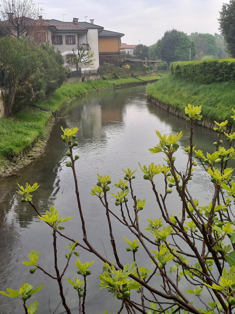 Fiume Po Cremona