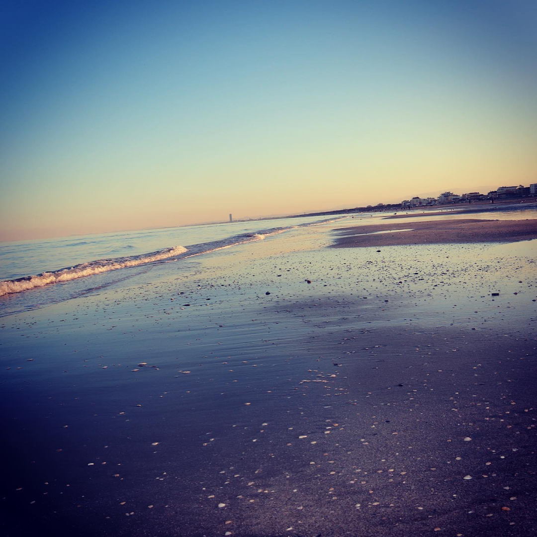 Flamingo beach .283