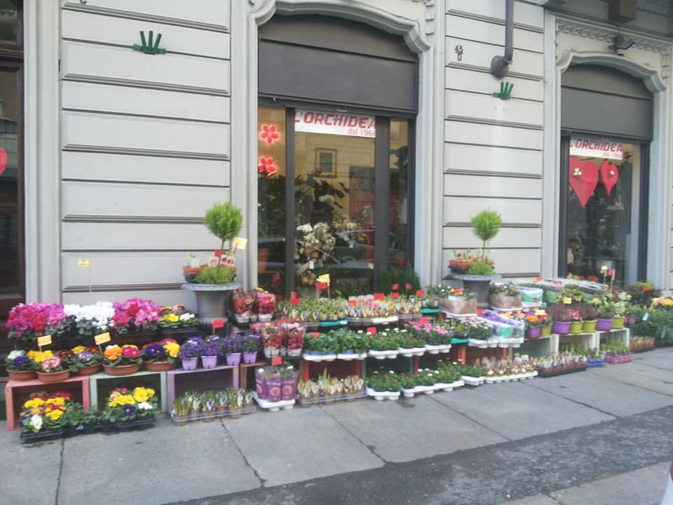 Florabilia