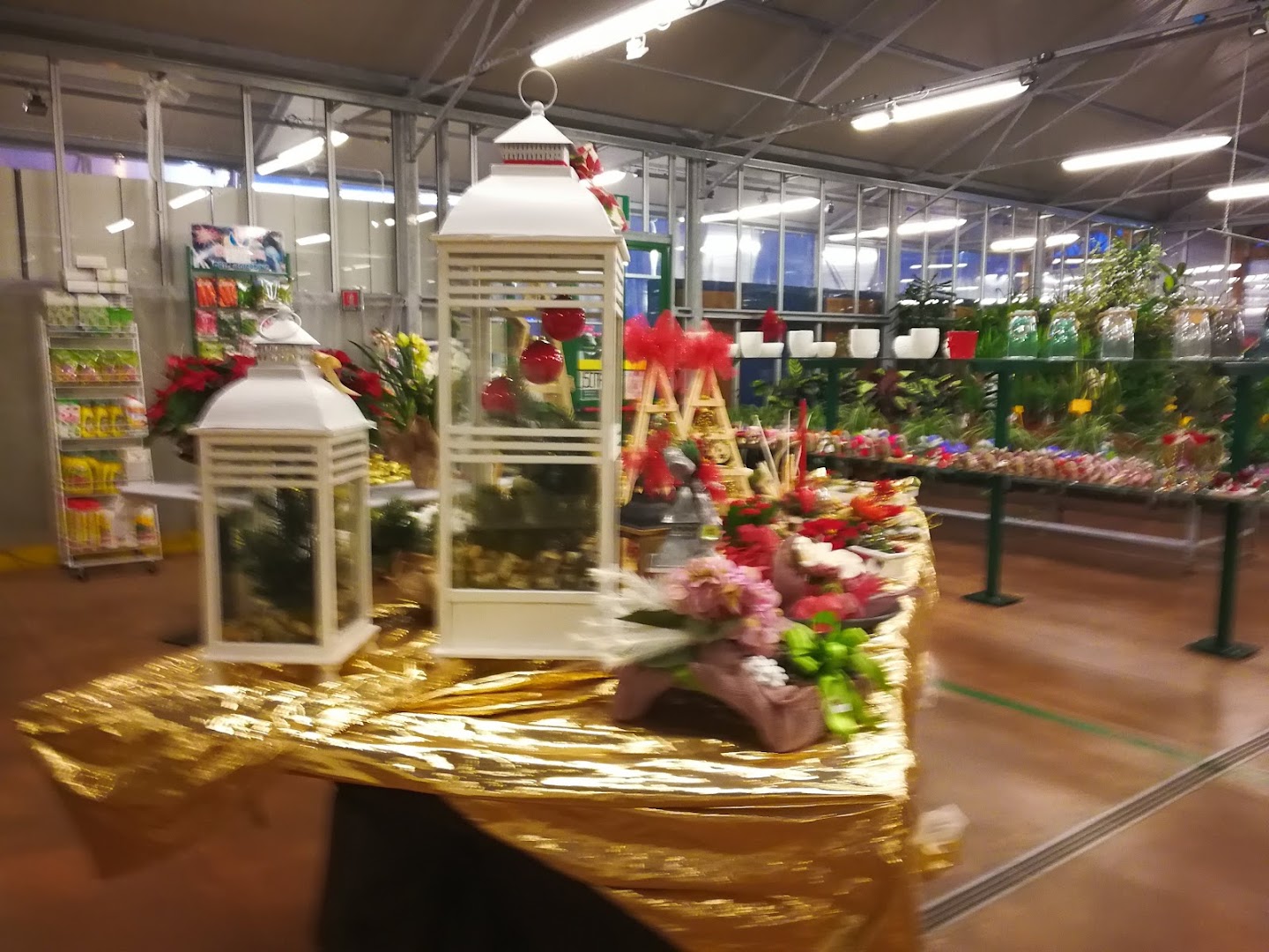 Florgarden