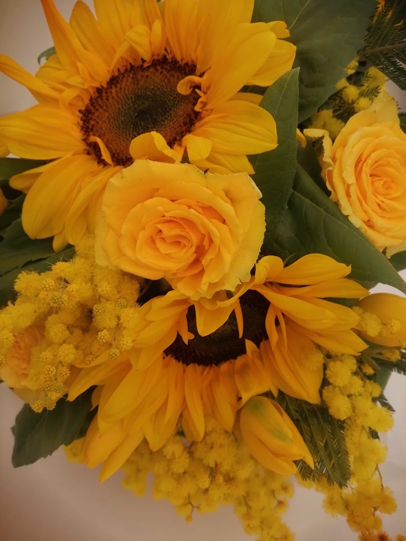 Floricoltura Baldinotti Giuseppe