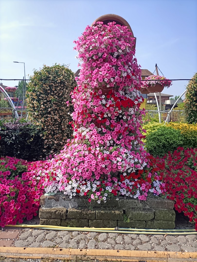 Floricoltura Ciampi