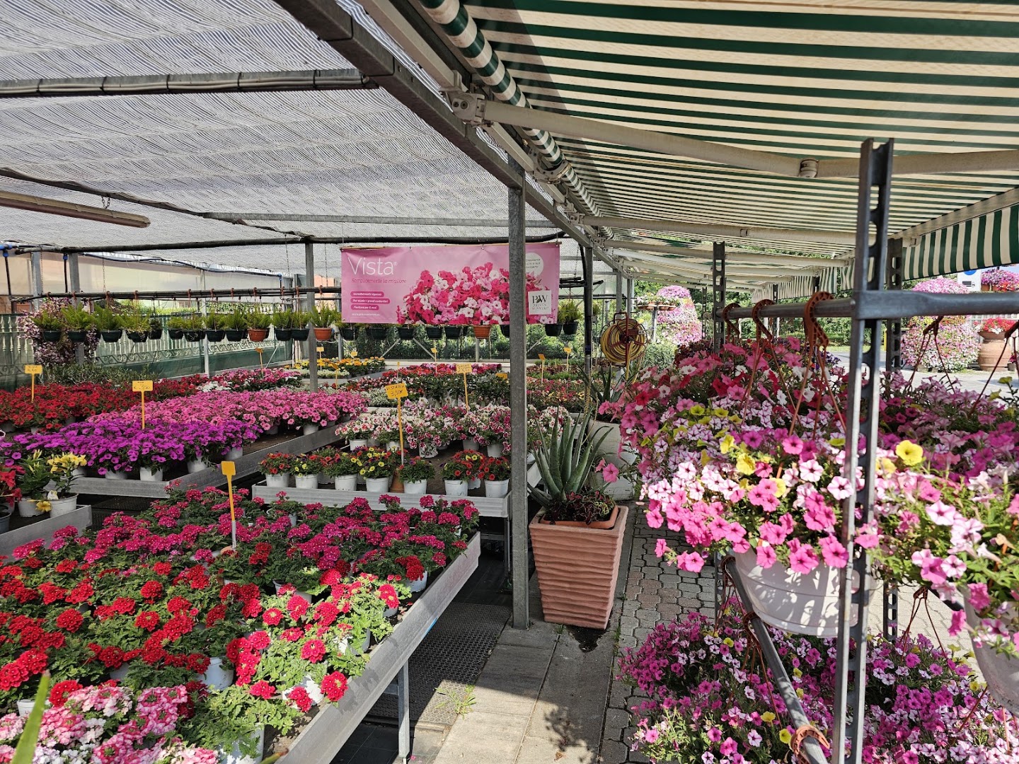 Floricoltura Ciampi