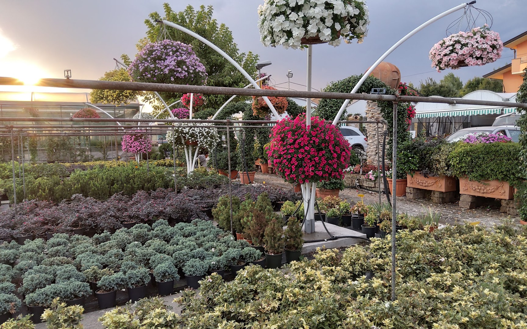 Floricoltura Ciampi