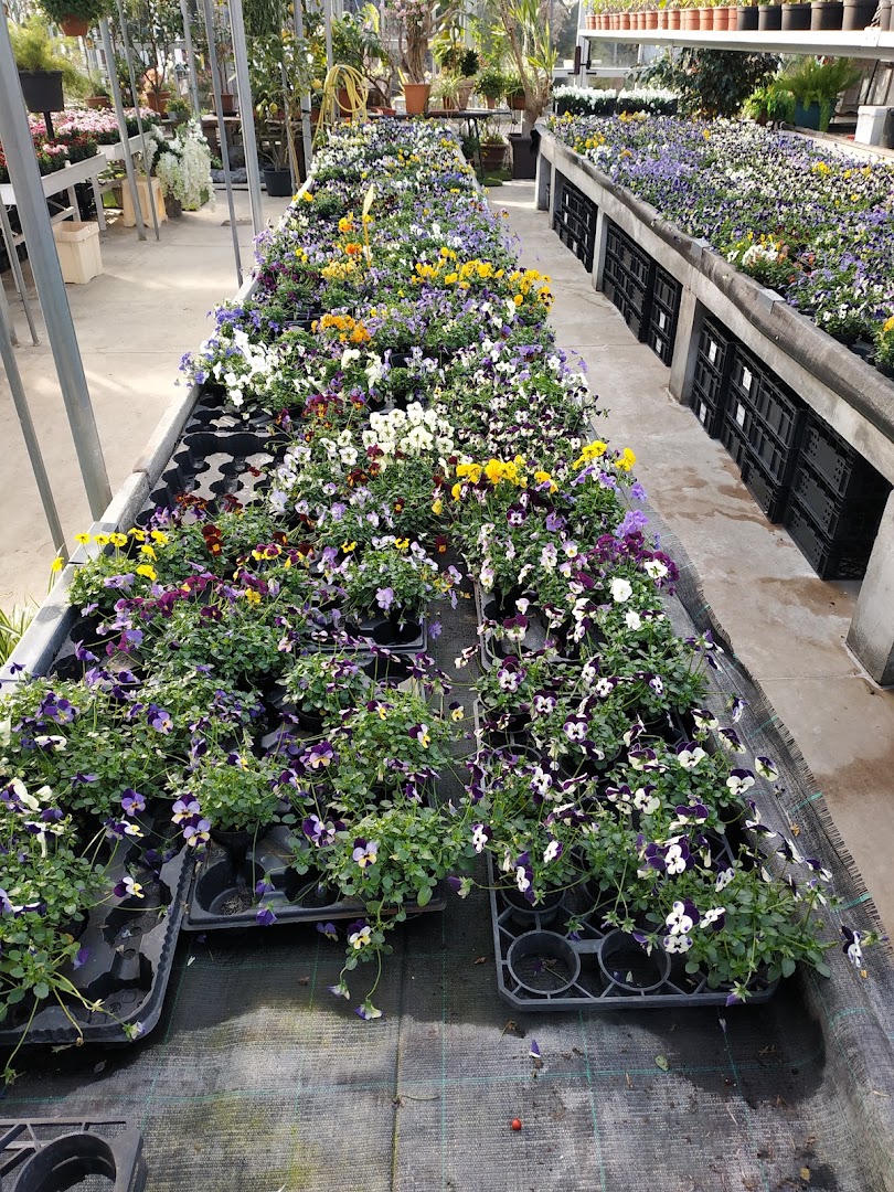 Floricoltura Del Vento