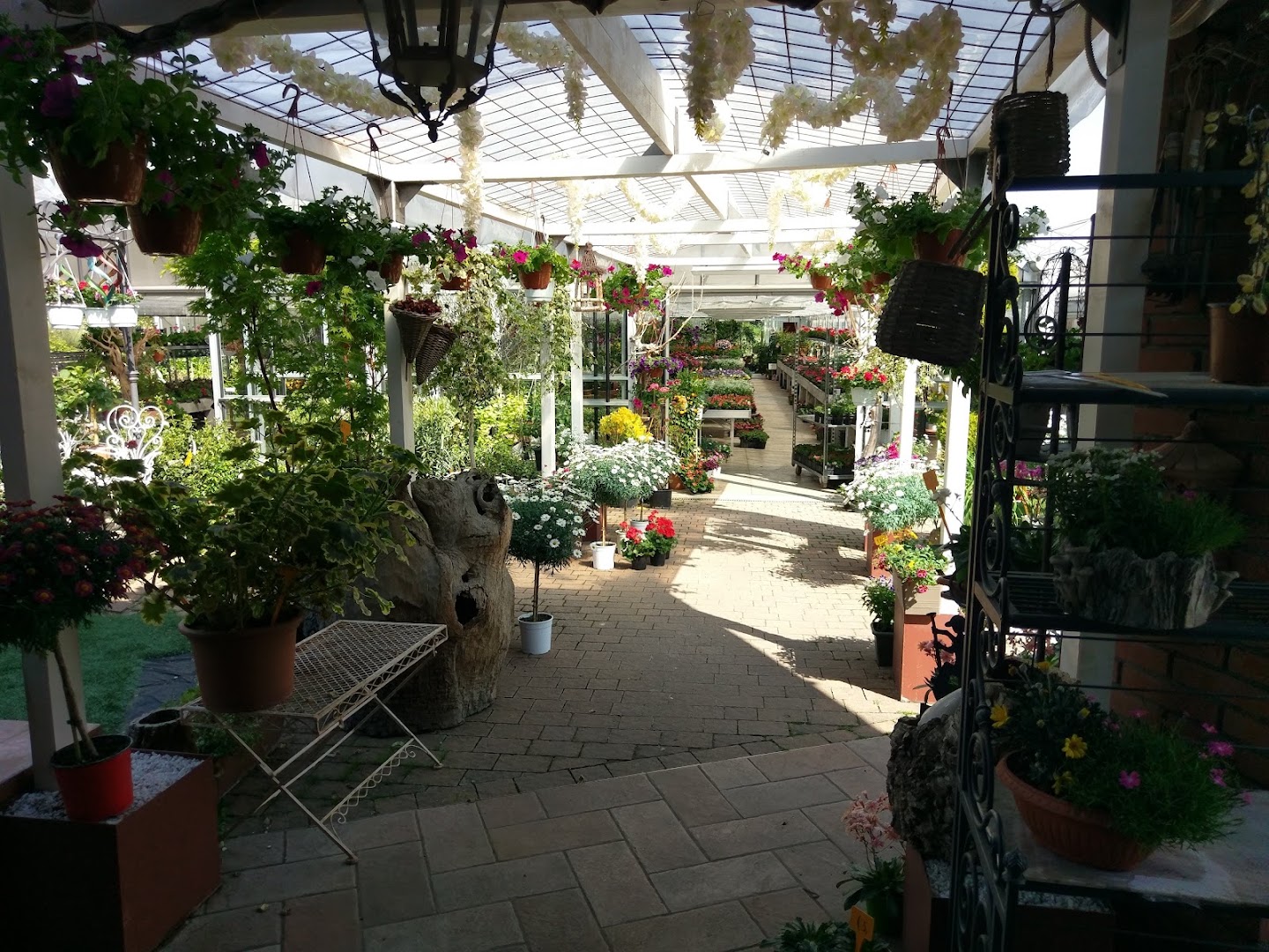 Floricoltura Del Vento