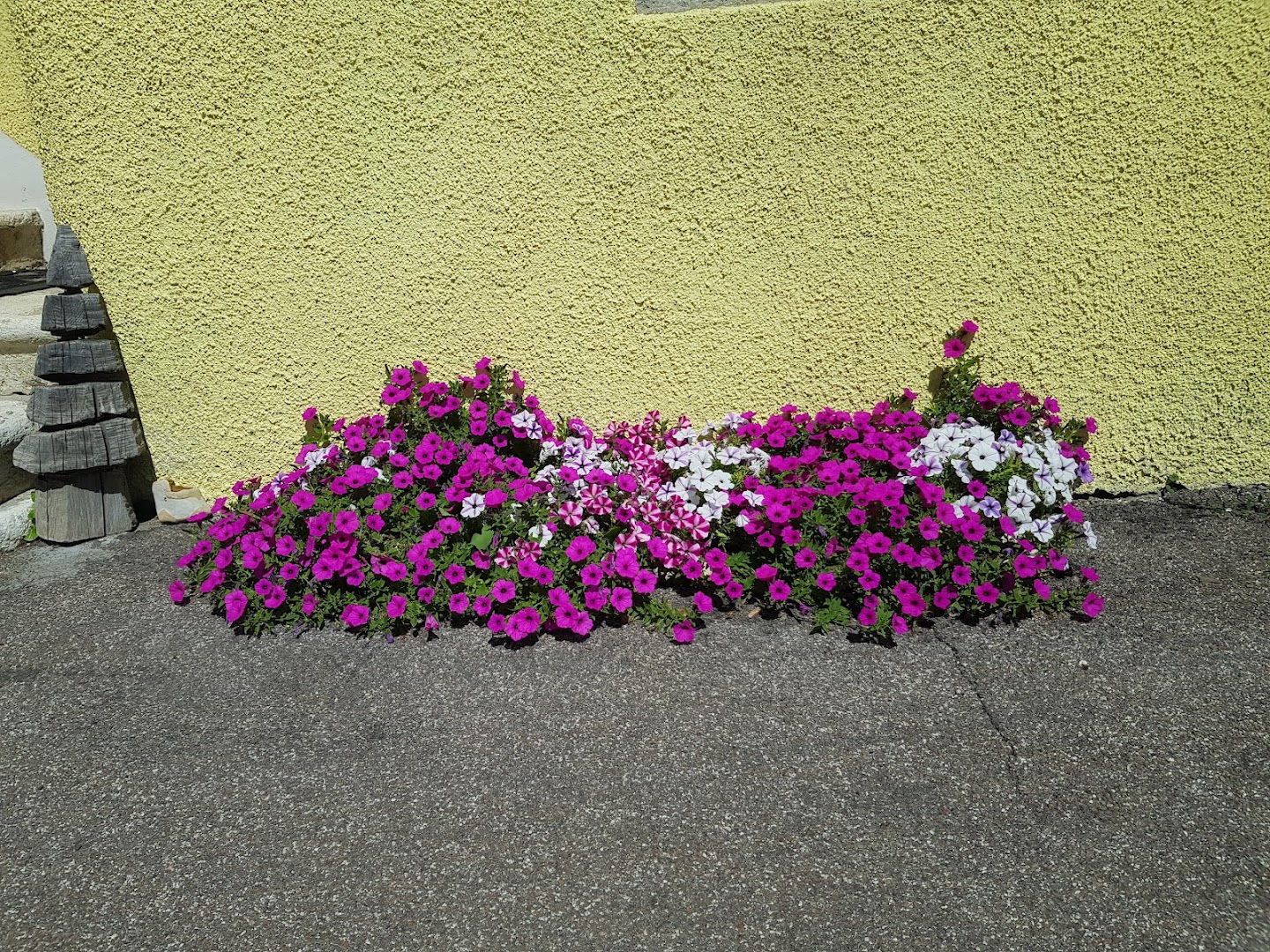 Floricoltura Garden Tres