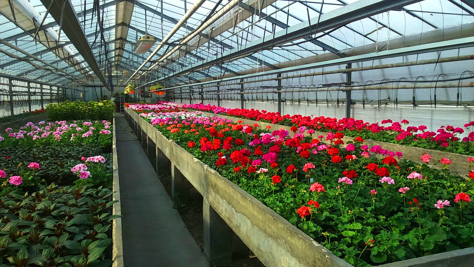 Floricoltura Giardini di Santa Sofia
