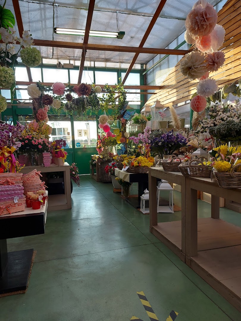 Floricoltura Maroni, Cesena